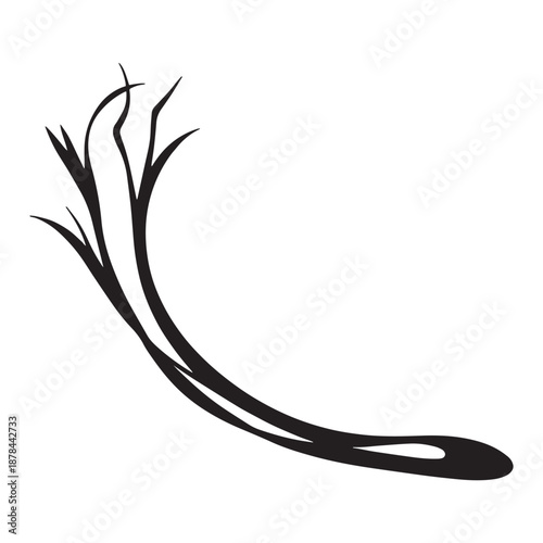 Elegant black abstract plant branch design element