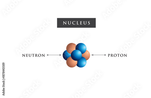 3d The nucleus, protons, and neutrons are represented by the English letters proton and neutron.