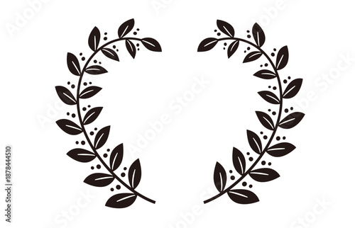 月桂樹　植物　フレーム