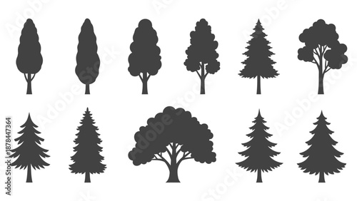 Set of Diverse Tree Silhouettes: Pine, Fir, Cypress, Deciduous - Nature Icons