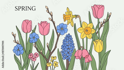 Spring flowers illustration: tulips, daffodils, hyacinths, pussy willows