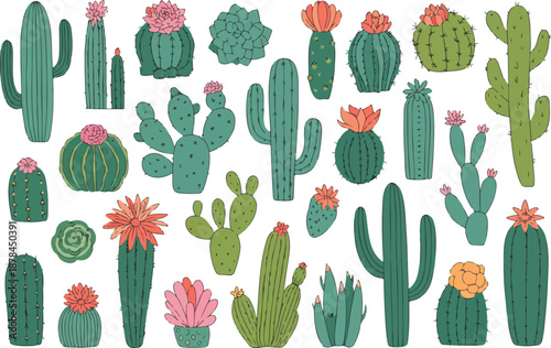 Cactus isolated cartoon set icon. Vector illustration mexican cacti on white background. Vector cartoon set icon cactus with flower.