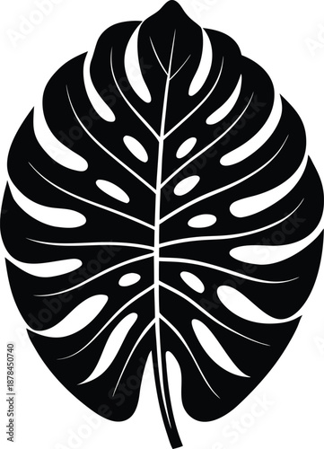 Black monstera leaf silhouette with fenestrations tropical