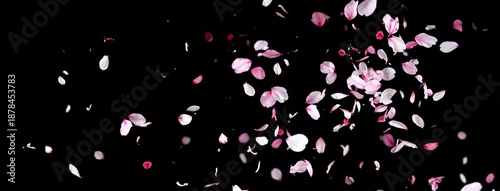 Cherry Blossom Petals Falling in Sakura Fubuki Style - Generative AI