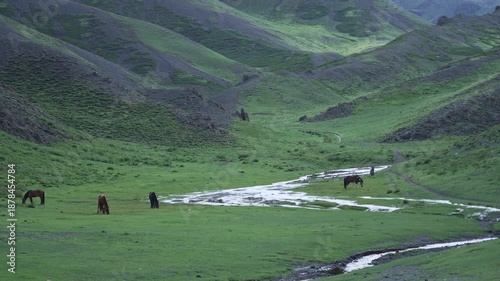 Horses Grazing in Green Mongolian Valley with Winding Stream and Mountains