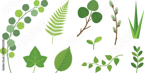 Fresh spring greenery foliage elements flat vector pack with eucalyptus branch fern frond round leaves willow pussy-willow buds grass blade ivy leaf elm leaf sprout trailing vine and boxwood sprig 