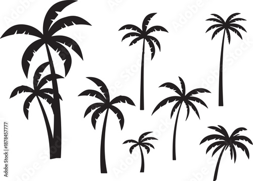  palm trees silhouette, palm tree silhouettes, palm trees silhouettes, palm, tree, beach, nature, summer, vector, silhouette, island, sun, illustration, leaf, palm tree, palmtree, leaves, design, plan
