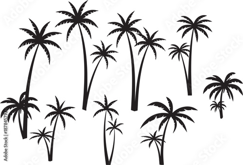  palm trees silhouette, palm tree silhouettes, palm trees silhouettes, palm, tree, beach, nature, summer, vector, silhouette, island, sun, illustration, leaf, palm tree, palmtree, leaves, design, plan