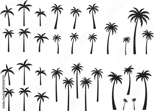  palm trees silhouette, palm tree silhouettes, palm trees silhouettes, palm, tree, beach, nature, summer, vector, silhouette, island, sun, illustration, leaf, palm tree, palmtree, leaves, design, plan