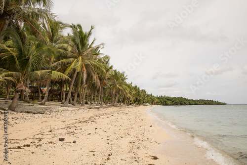 white Sand beach on a tropical Island of Asia Philippines with palm trees coconut trees 