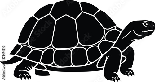 Black silhouette of a turtle isolated on transparent background