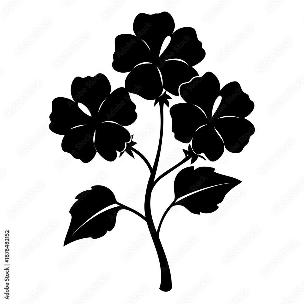 Fototapeta premium geranium hardy silhouette on white background 