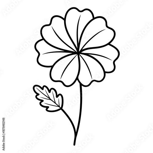 geranium hardy line art on white background 