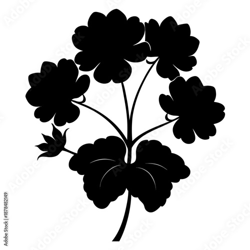 geranium hardy vector silhouette on white background 