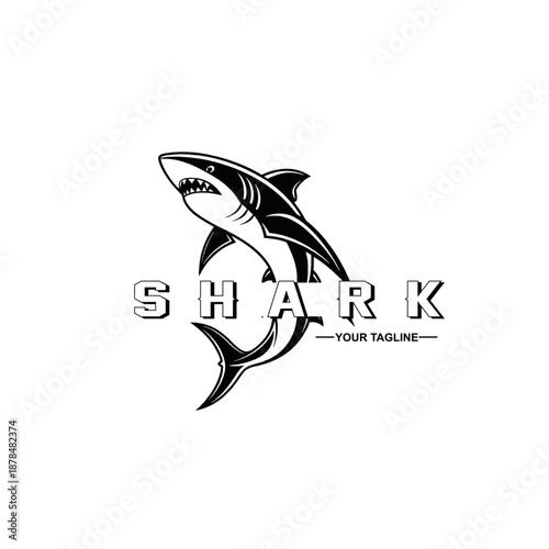 SHARK 6.eps