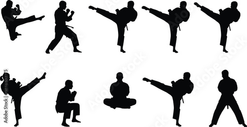 Martial arts silhouettes collection, karate fighters performing kicks, punches, stances and meditation poses isolated on white background vector set illustration