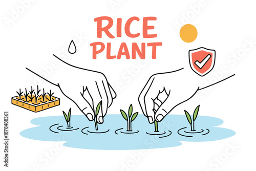 Rice planting illustration with hands and growing sprouts