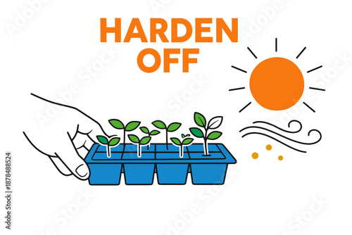 Hand holding seedlings tray for hardening off in sunlight with breeze illustration