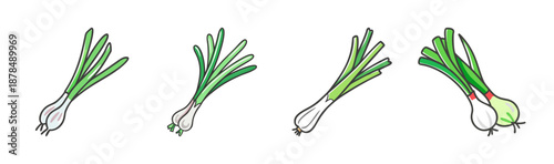 Four cartoon style scallions with green stalks and white bulbs on white background