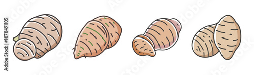 Four hand-drawn taro roots and sweet potatoes, isolated on white background.