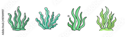 Four cartoon style seaweed plants growing from seabed on white background
