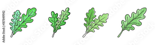 Hand-drawn green arugula leaves on a white background, vector illustration