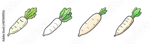 Four daikon radishes with green leaves, hand-drawn style, fresh vegetables.