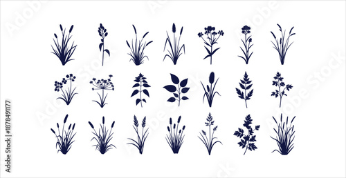 Detailed Botanical Wild Grasses Meadow Plants Reeds Silhouettes Vector Icons Collection Set