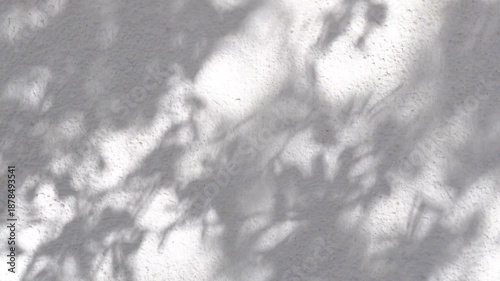 Minimalist nature background with tree shadows dancing on a white textured wall. Cinematic dappled sunlight aesthetic.