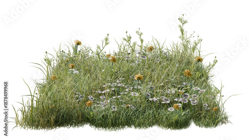 Small Patch of Green Meadow Grass with Yellow and White Wildflowers Isolated on White