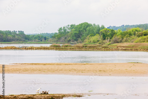 Φωτογραφία View at a wetland with sandbanks and birdlifes