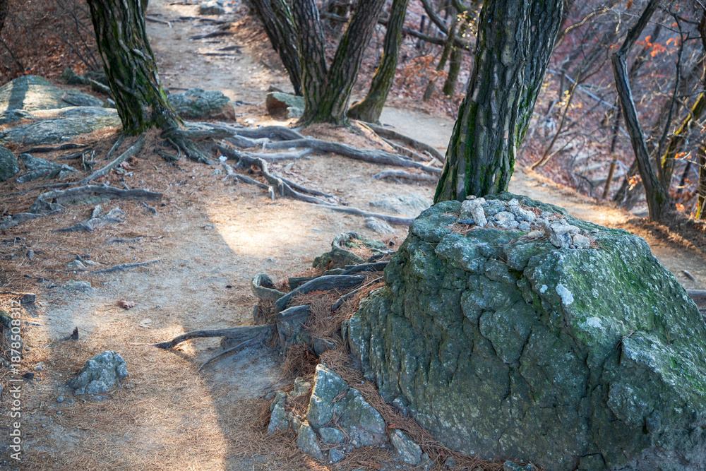 Obraz premium 청계산