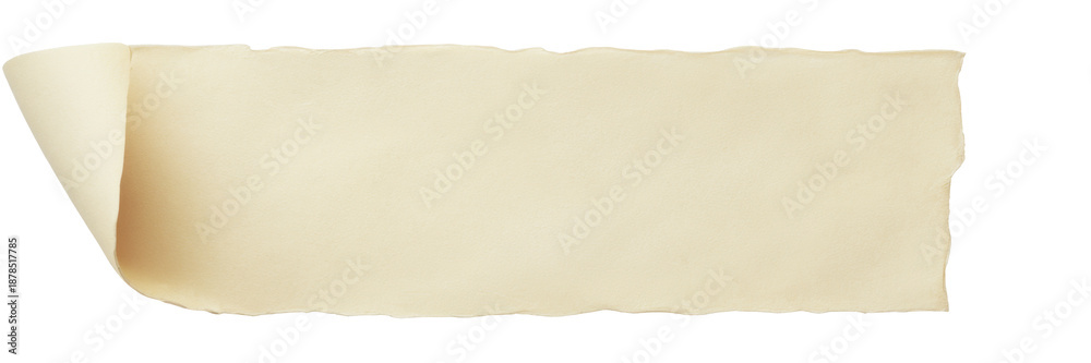 Obraz premium old paper scroll banner, ripped edge on transparent background.