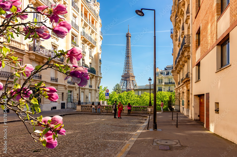 custom made wallpaper toronto digitalEiffel tower and streets of Paris in spring, France