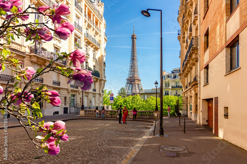 Wallpaper Mural Eiffel tower and streets of Paris in spring, France Torontodigital.ca