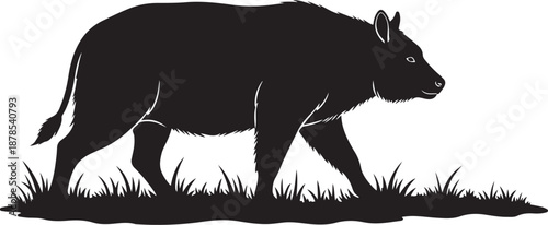 Black silhouette of a cow walking in the grass