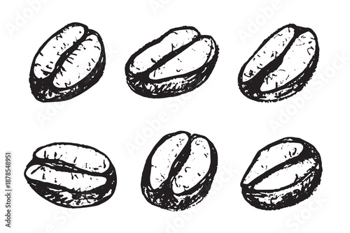 Set of hand drawn fresh roasted coffee bean Arabica robusta seed doodle Single element for design print packaging label decor