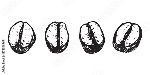 Set of hand drawn fresh roasted coffee bean Arabica robusta seed doodle Single element for design print packaging label decor