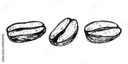 Set of hand drawn fresh roasted coffee bean Arabica robusta seed doodle Single element for design print packaging label decor