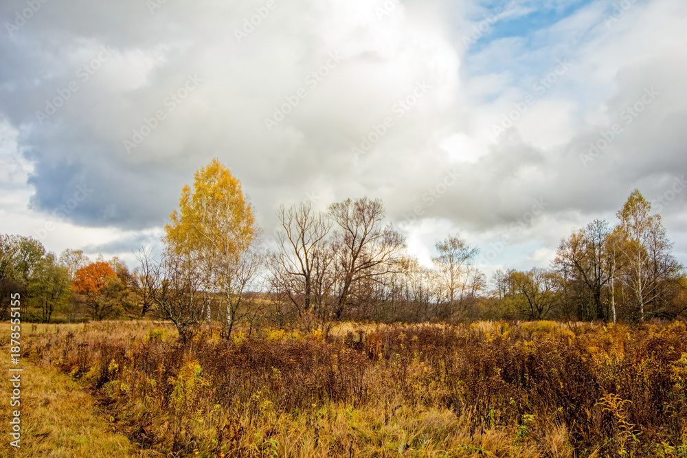 Fototapeta premium A mown field in late autumn on a cloudy day