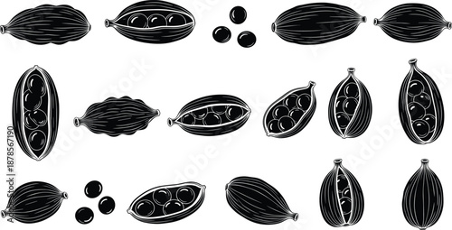 Cacao pods and beans illustration, black and white botanical drawing, chocolate ingredient sketch for culinary and farming use, flat vector