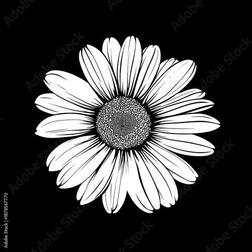 Monochrome black and white daisy flower vector illustration with detailed petals and central disk in minimalist flat design style on black background