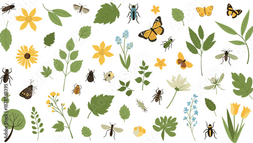 Detailed collection of various insects, flowers, and tree leaves on a white background for educational and scientific nature studies.