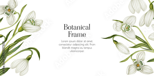 Tableau sur toile Illustration frame with snowdrops