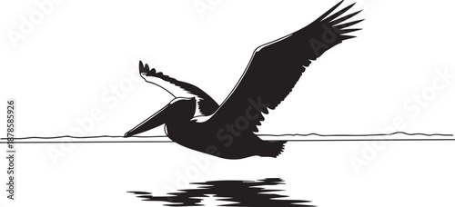 Silhouette of a pelican flying over calm water surface