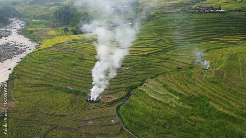 Asia, Vietnam , the famous terraced rice fields for rice production in Muong Hoa Valley , Lao Cai province , Sapa . the rice harvest in September with the iconic green and yellow rice fields 