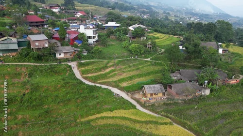 Asia, Vietnam , the famous terraced rice fields for rice production in Muong Hoa Valley , Lao Cai province , Sapa . the rice harvest in September with the iconic green and yellow rice fields 