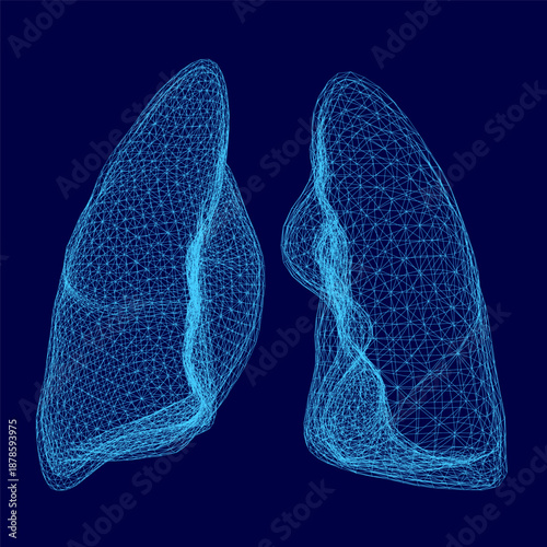 A detailed wireframe model of human lungs reveals intricate bronchial branches and alveoli on a solid blue background.