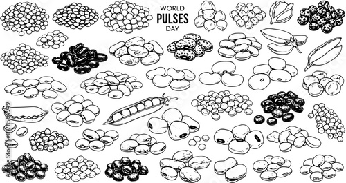 World Pulses Day Black  White Line Art Collection of Various Beans and Legumes