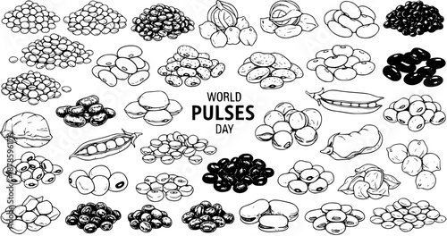 Black and White Line Art Collection of Assorted Pulses and Legumes for World Pulses Day